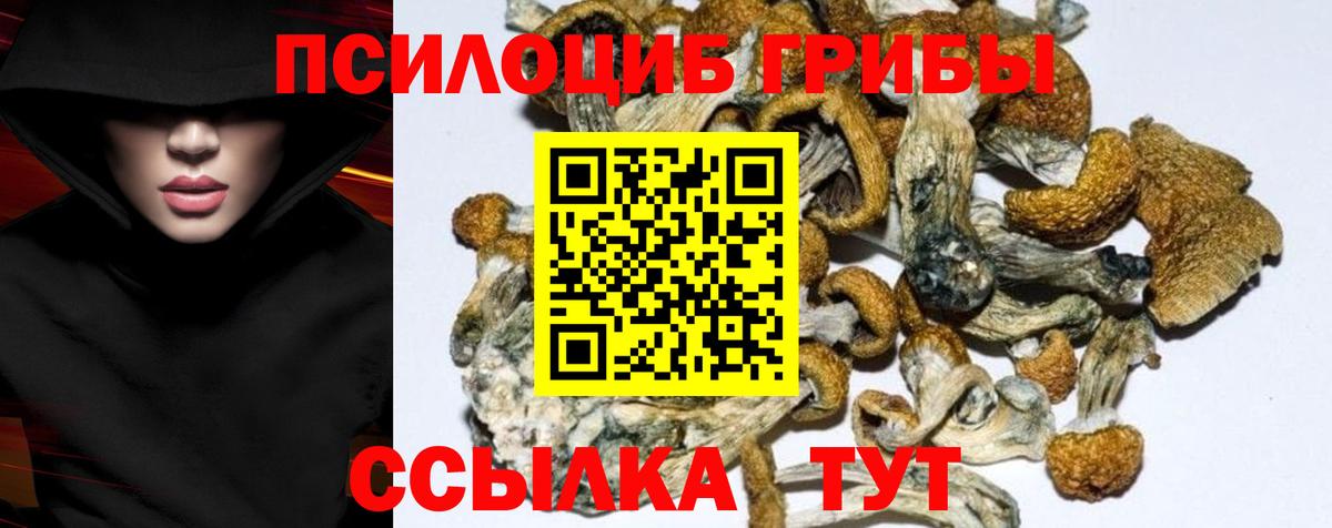 Галлюциногенные грибы ЛСД  Галлюциногенные грибы Psilocybe  продажа наркотиков  Вышний Волочёк  Вход с VPN 