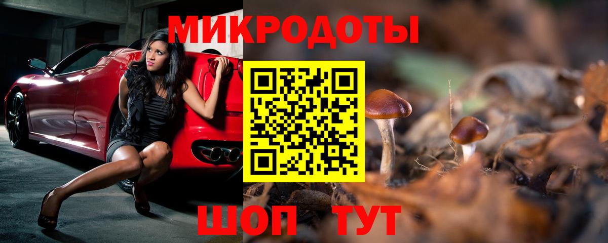 Псилоцибиновые грибы Psilocybine cubensis Вышний Волочёк
